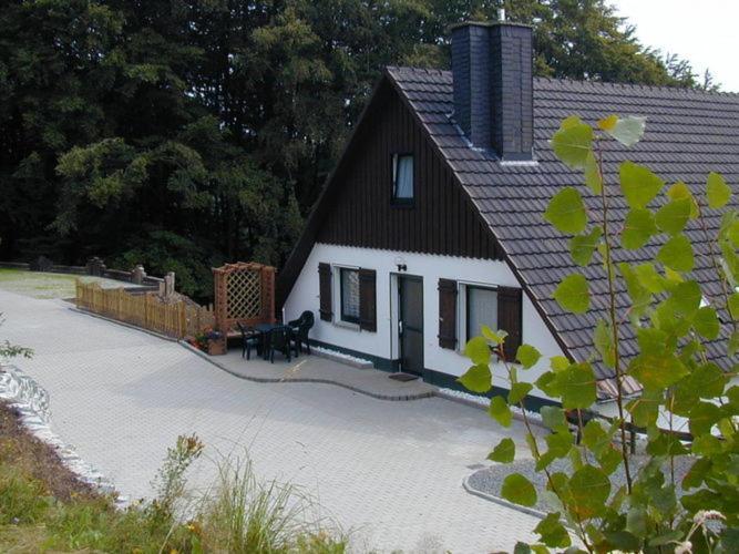 Nice Holiday Home Near Ski Area Medebach Esterno foto