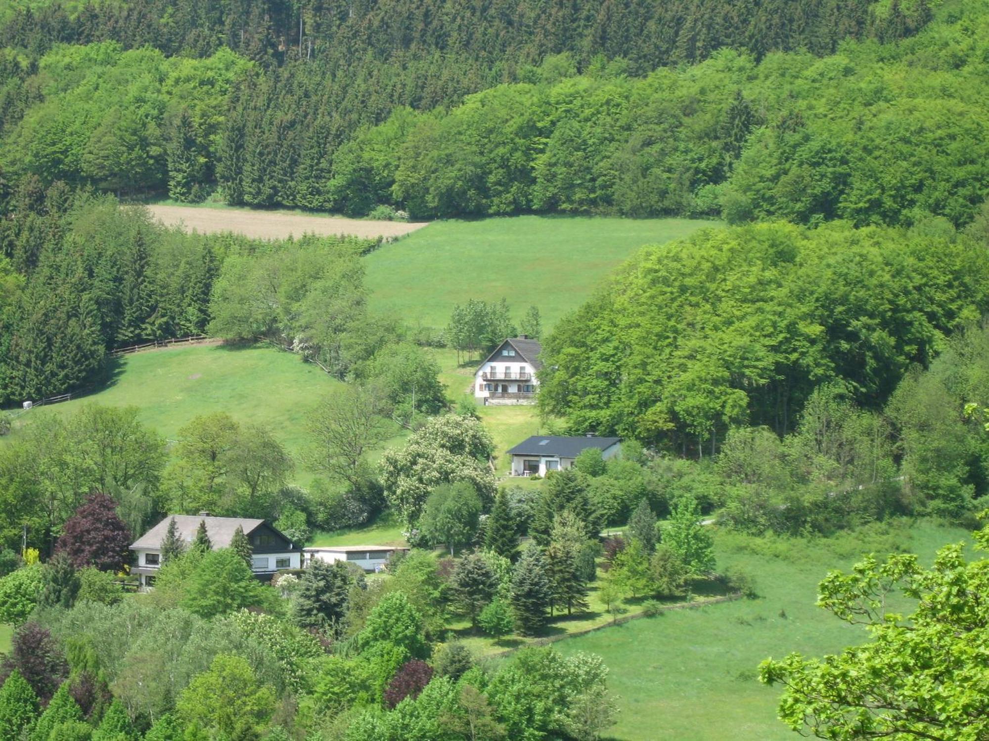 Nice Holiday Home Near Ski Area Medebach Esterno foto